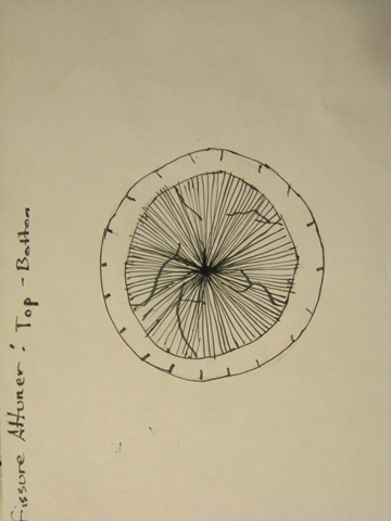 fissureattunertop-bottom.jpg