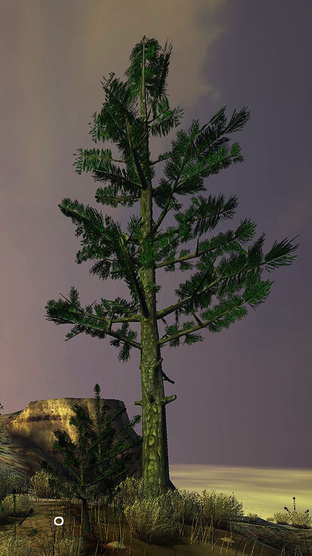 Relto Tree B 12 mo.jpg