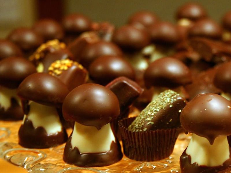 Dulcamara's chocolates.1.jpg