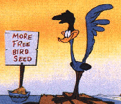 22976_roadrunner.gif