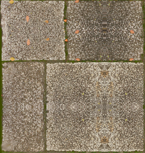 Stone Pavers-Chacal Japan small 1.png