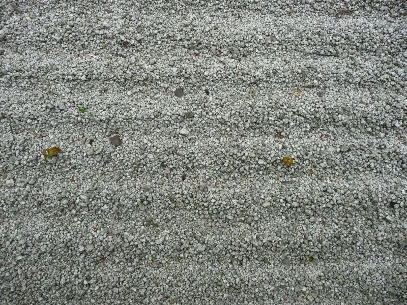 P1020043.jpg