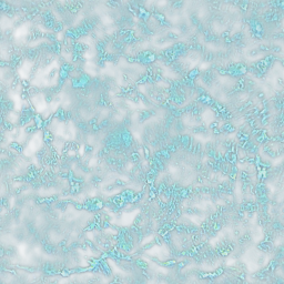 seaclearwater.png