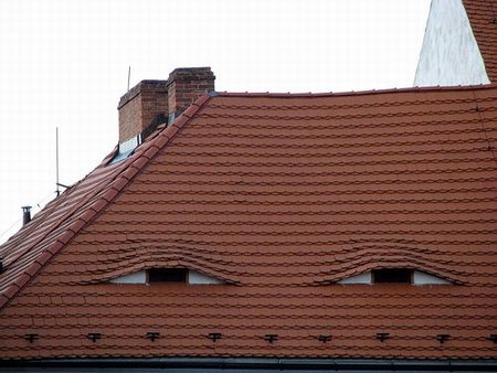 asdasdadasda.jpg