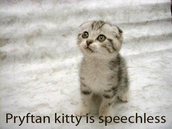 pryftankitty.jpg