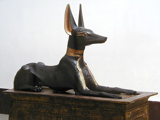 Anubis in jackal form.