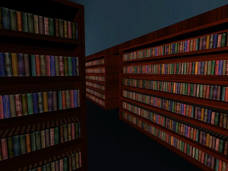 library.JPG