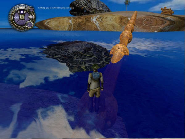 turtle3.jpg
